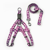 Harnais et laisse pour chien en forme de Y avec empreinte de patte, ensemble de promenade réglable en nylon pour animaux de compagnie, logo personnalisé OEM