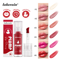 OEM & ODM Taches à lèvres hydratantes Personnalisez Baume à lèvres teinté hydratant Plump Gloss Vegan Private Label Lip Oil