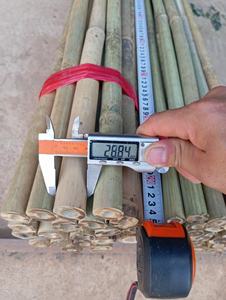 <b>Dried</b> Bamboo Canes <b>Small</b> Diameter Bamboo Sticks For <b>Flower</b> Plant Support Agricultural Bamboo Stakes - Product Image 4