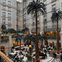Grand palmier artificiel de 2,5 à 10 m, résistant aux UV, avec tronc en fibre de verre, pour la décoration de parcs à thème/hôtels.