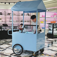 Chariot de présentation mobile pliable en acier inoxydable pour glaces et snacks, avec auvent, idéal pour événements extérieurs – Vente directe usine