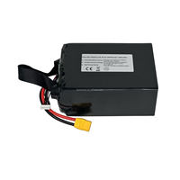 Batterie au lithium solide à haute densité énergétique 400Wh/kg 22.2V 66000mAh 6S2P, longue autonomie, pour drones professionnels