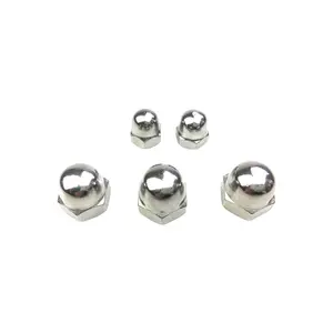 Thép không gỉ din1587 Hex mái vòm cap Nut Fastener