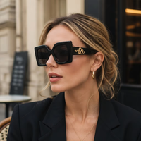 Fabricant de lunettes de soleil de créateur, lunettes carrées en acétate avec logo personnalisé pour événements de mode, lunettes de soleil personnalisées avec logo Viper