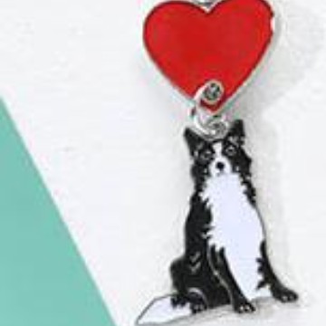 Border-collie