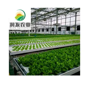 Dwc Floating Hydroponics Made By Hot Dip Galvanized Steel Pipe For Sale