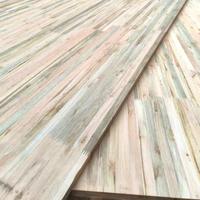 Tablero de Eucalipto Ecológico, Losa de Madera Renovable para Gabinetes de Alta Gama, Madera Grandis Certificada