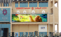 Module d'affichage LED P4 P5 320x160mm, panneau matriciel LED RGB extérieur pour enseigne de magasin, publicité