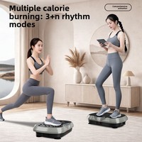 Équipement de fitness à domicile, plaque vibrante pour tout le corps, machine d'exercice, bandes de résistance, télécommande, équipement de fitness à domicile