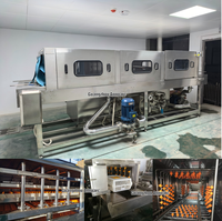 Laveuse automatique industrielle de caisses SUS304, laveuse de cages à poulets 600BPH à eau chaude pour l'entretien des fermes avicoles