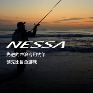 Canne à pêche Nessa Surf Rod 6m, action moyenne rapide, anneaux SIC, pêche en eau salée - Product Image 1