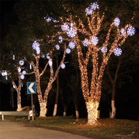 Maßgefertigte IP65 Wasserdichte 24V Niederspannungs-PVC Transparente Leitungsbeleuchtung Warmweiß Dimmbar 100 LED CE-Zertifizierte Außen-Weihnachtsbeleuchtung