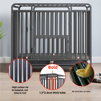 Nouvel arrivage de caisses galvanisées modernes d'intérieur pour animaux de compagnie avec fermeture à bouton pression pour chiens et chats pour usage domestique