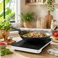 Vente en gros de cuisinière à induction portable 2000W, 8 modes de cuisson, plaque de cuisson électrique 220V pour l'Asie du Sud-Est