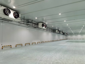 Grande chambre froide de plain-pied pour le projet d'entreposage frigorifique de poulet congelé Congélateur Salle de refroidissement Congélateur de plain-pied Salle <span class=keywords><strong>Ccld</strong></span> - Product Image 6