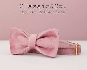 Ensemble collier et laisse personnalisés pour chat en velours rose poudré avec nœud papillon, étiquette nominative gravée sur mesure pour chaton ou chiot, clochette dorée offerte, pour petit chien femelle - Product Image 3