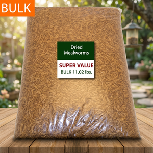 Poudre de vers de farine séchés de qualité supérieure pour poulets 9,0 kg/pièce Sans céréales Riches en protéines, vitamines et minéraux - Product Image 3