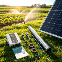 Pompe solaire submersible pour puits de 3 pouces, 750W DC 48V, en acier inoxydable, avec contrôleur MPPT, hauteur de refoulement 230 pieds, débit 3,7 GPM