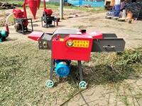 Mini broyeur de paille, broyeur d'herbe pour l'alimentation animale, hacheuse de foin, hacheuse de fourrage, machine à couper le foin