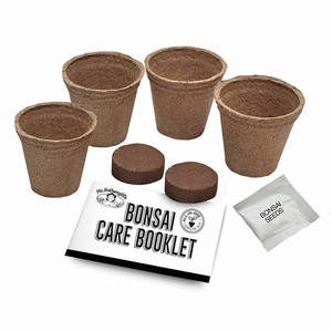 Kit <span class=keywords><strong>de</strong></span> cultivo <span class=keywords><strong>de</strong></span> bonsái <span class=keywords><strong>de</strong></span> <span class=keywords><strong>pino</strong></span> al mejor precio <span class=keywords><strong>de</strong></span> alta calidad para el hogar Kit <span class=keywords><strong>de</strong></span> inicio <span class=keywords><strong>de</strong></span> cultivo <span class=keywords><strong>de</strong></span> árboles para productos <span class=keywords><strong>de</strong></span> regalo únicos para hombres - Product Image 6