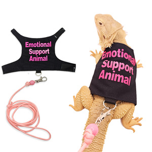 Caméléon écureuil coloré lézard sangle de poitrine petites fournitures pour animaux de compagnie avec motif de lettre main tenant corde escalade laisse Reptiles - Product Image 3