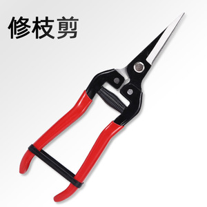 Long Straight-Tipped Pruning Shears Steel Blade Bypass Type For Fruit Vegetable Grape Picking Zhejiang Origin - Product Image 1