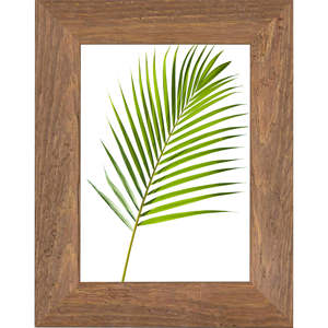 WARREN 34MM 13X18 NOUVEAU - Product Image 1