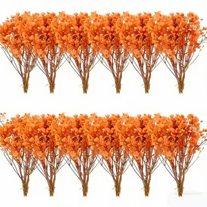 100 Piezas de <span class=keywords><strong>Paniculata</strong></span> <span class=keywords><strong>Preservada</strong></span> (Blanca) - Pequeñas Flores Secas Naturales de China para Joyería de Resina y Manualidades - Product Image 5