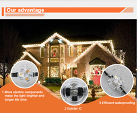 Guirlande lumineuse de Noël permanente WS2818 RGB de SHIJI, 30 mm, IP68, étanche en extérieur, DC24V, source lumineuse à points LED