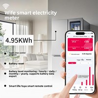 Interrupteur intelligent SPM avec relais temporisé, affichage LCD de la consommation d'énergie, contrôle à distance via application WiFi/Zigbee, système de maison intelligente, 220V Chine