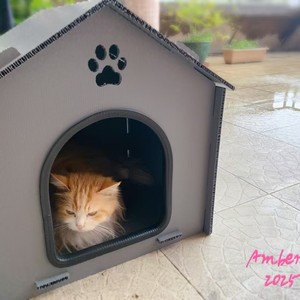 Maisonnette pour animaux de compagnie Villa 1,5 x 1,5 pieds, abri extérieur imperméable en plastique pour chiens et chats de petite race - Product Image 3
