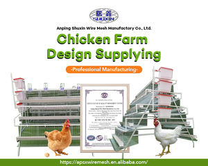 Caldo immerso galvanizzato strato di piramide automatica gabbia di pollo per 20000 uccelli pollame gabbia di pollo fattoria in sud America - Product Image 3