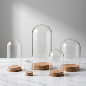 Campane di Vetro All'Ingrosso di Varie Dimensioni per Conservare ed Esporre Regali di San Valentino, Natale e Laurea - Product Image 1