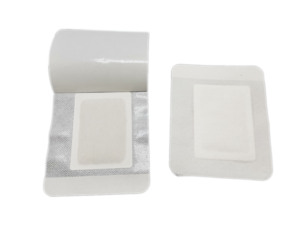 Vente en gros de coussinets de bonne qualité coussinets de désintoxication patchs pour les pieds 2 en 1 coussinets de désintoxication - Product Image 4