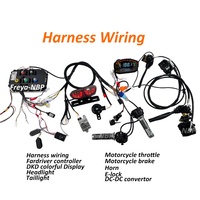 QS moteur 200mm QS273 50H 3.5T moto vélo électrique vélo Kit Fardriver contrôleur 18 pouces 19 pouces 21 pouces