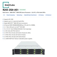 R265 ZG0 Z33 DG0 AS1 2U Single Socket Rack Server AMD EPYC 9006 DDR5 12/8 Drive Bays GPU Acceleration Enterprise Server.