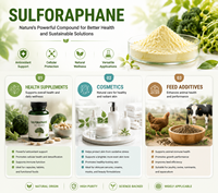 Capsules de Sulforaphane SFN, additifs alimentaires, extrait de pousses de brocoli, poudre de Sulforaphane microencapsulée, 10% de Sulforaphane