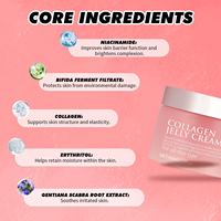 Crème Visage Coréenne OEM ODM au Collagène et Niacinamide, Crème Gelée Hydratante Anti-rides et Raffermissante pour la Peau
