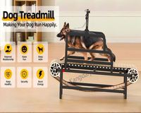 Tapis roulant pour animaux de compagnie en alliage d'aluminium léger - Roue d'exercice à vitesse réglable pour chiens/chats, équipement de fitness silencieux et durable pour animaux de compagnie