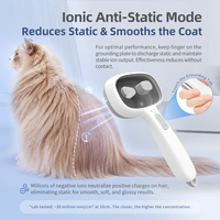 Nouvelle brosse à poils pour animaux de compagnie avec fonction d'auto-nettoyage et ions négatifs, vaporisateur d'eau et brosse lissante pour chat
