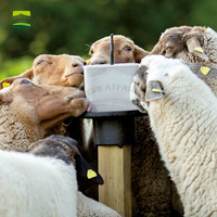 Bloc de sel minéral pour bétail, prévient la pica, stimule la croissance, augmente le rendement laitier, brique de sel robuste pour bovins, ovins, ruminants