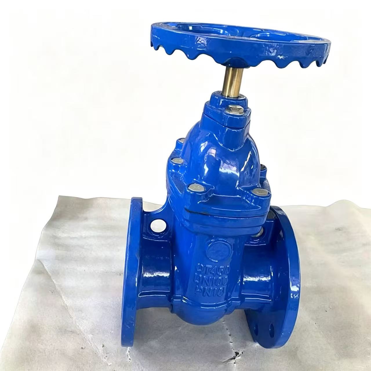 Gate Valve 100mm Dia