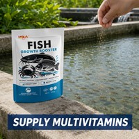 Prémélange en poudre multivitaminé pour la croissance des poissons-chats et des tilapias