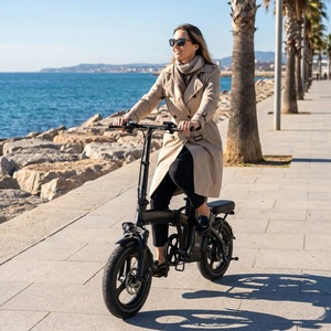 Vélo électrique pliable EU Stock LOOKRUN G11 48V 13Ah, 14 pouces, moteur sans balais 400W, mini vélo électrique pliable pour adultes - Product Image 1