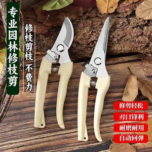 Sécatrices en acier inoxydable pour branches de jardin, plantes à fleurs, outils de jardinage domestique avec lame tranchante et ressort automatique - Product Image 1