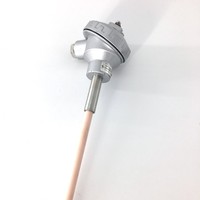 Anti-interférence Ptrh10 %-pt s Type Thermocouple S-type Platine Rhodium Thermocouple Gainé Antidéflagrant avec Prise