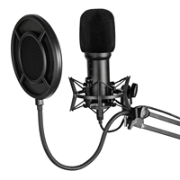 Microphone USB filaire à condensateur avec bras, filtre anti-bruit, lumières LED, haute fidélité, cardioïde, 24/96kHz, portable