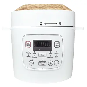 Instant Pressure Cooker Household 2L Multifunctional Digital Control Mini Smart Pressure Cooker