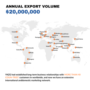 Gorras Unisex <span class=keywords><strong>de</strong></span> 5 Paneles con Bordado 3D en Dos Tonos, Diseño Sino US, Fabricación OEM/ODM, Entrega Rápida en 2 Horas - Product Image 4