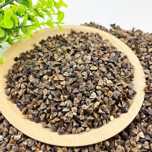 <span class=keywords><strong>Graines</strong></span> de <span class=keywords><strong>sarrasin</strong></span> sucré Naturix, <span class=keywords><strong>graines</strong></span> de micro-pousses pour la culture en intérieur - Product Image 2